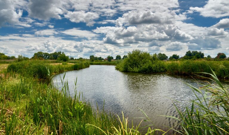 Mit dem Kajak durch De Biesbosch: Eine grüne Oase in Süden von Holland